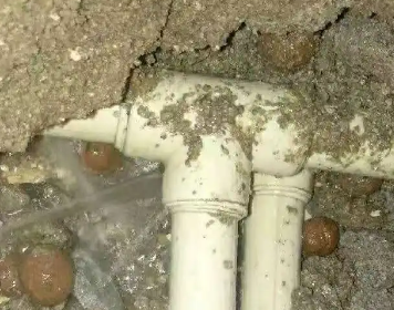 天柱测漏水多少钱