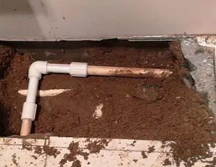 天柱测漏水哪家好