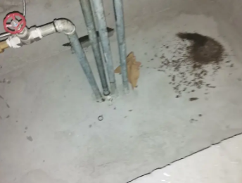 天柱卫生间测漏水价格明细