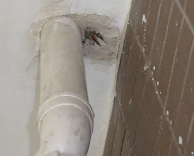 天柱漏水检测哪家好